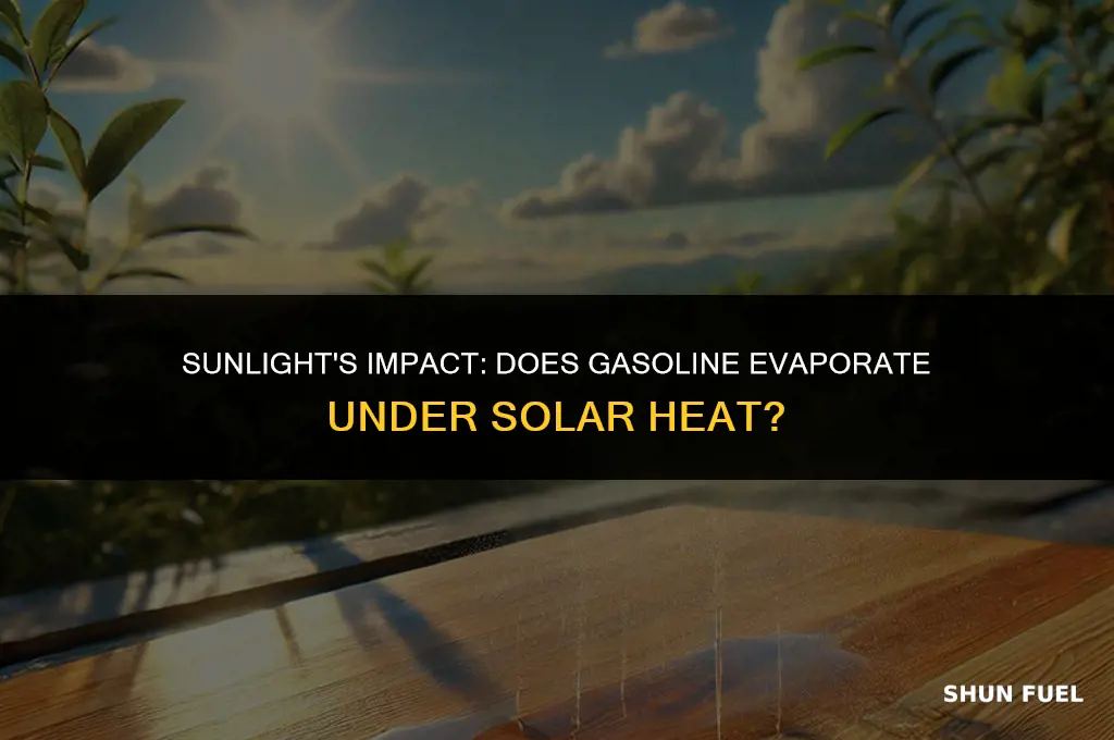 does gasoline evaporate in the sun