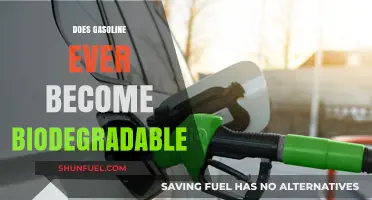 The Environmental Fate of Gasoline: Biodegradability Explained