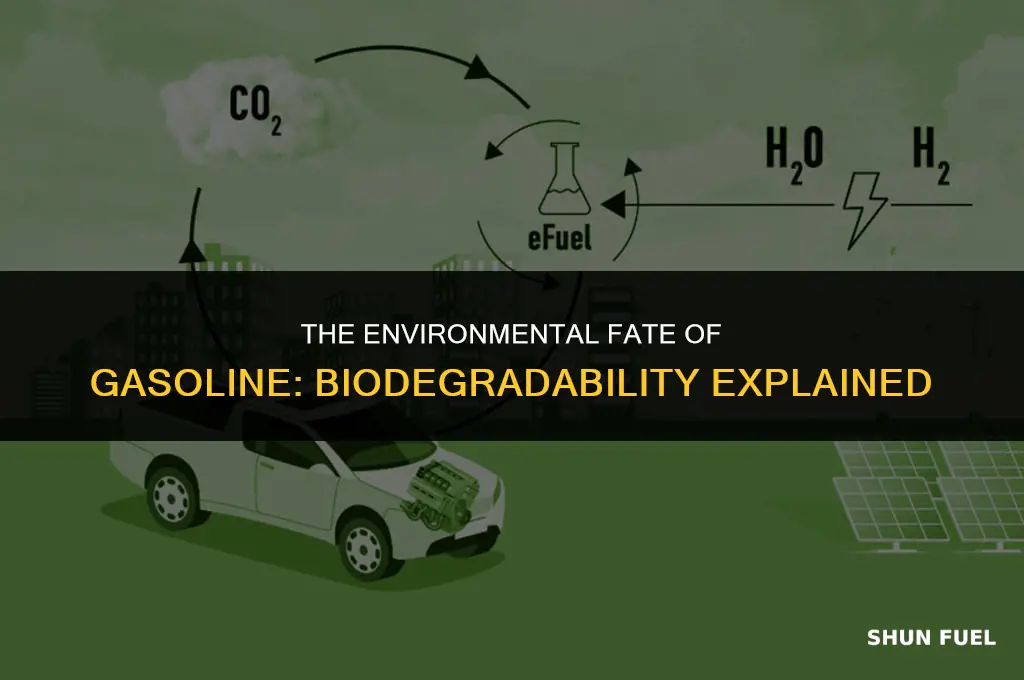 does gasoline ever become biodegradable