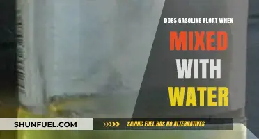 Exploring the Density Dynamics: Gasoline and Water Mixture