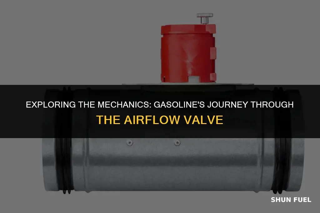does gasoline flow through the air flow valve