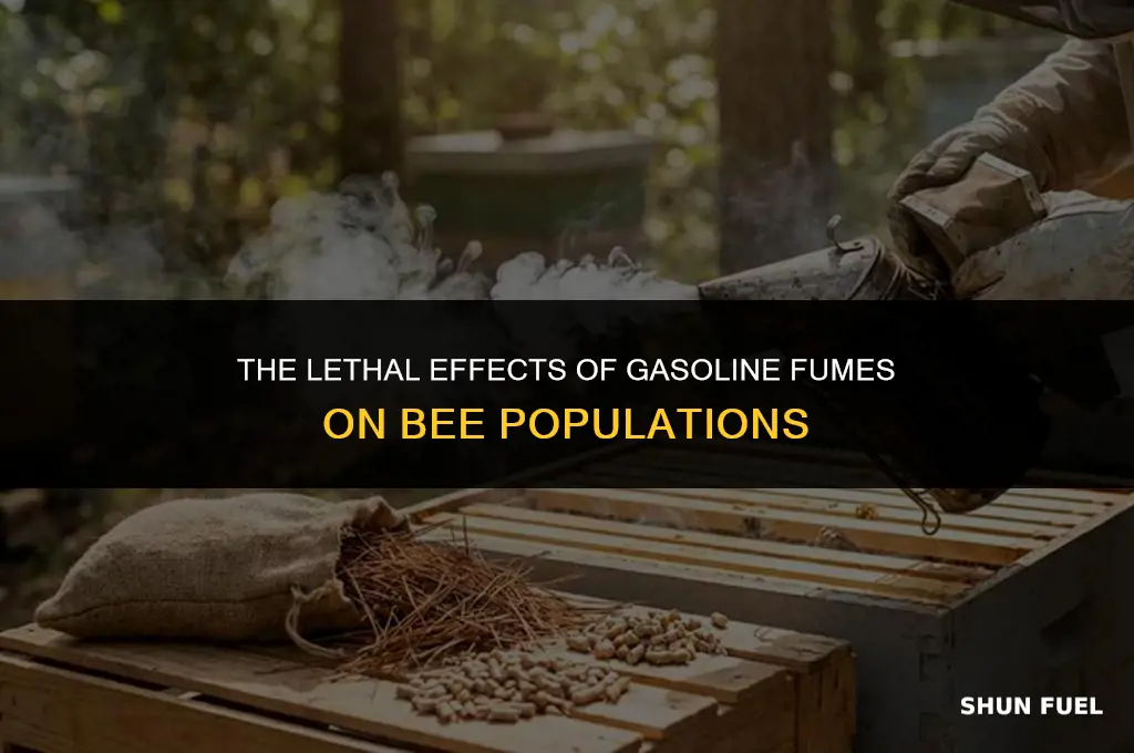 does gasoline fumes kill bees