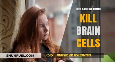 The Hidden Danger: Gasoline Fumes and Brain Health