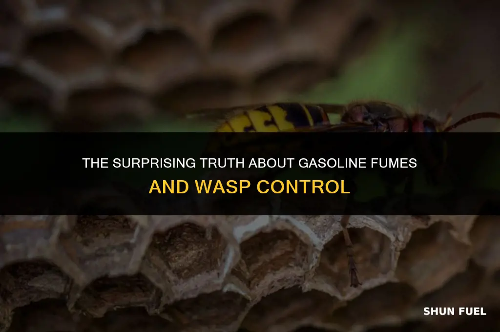 does gasoline fumes kill wasps