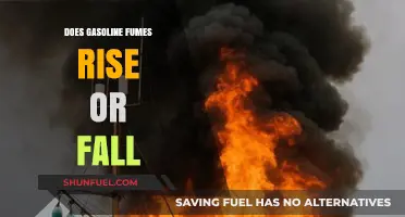 Exploring the Behavior of Gasoline Fumes: Do They Rise or Fall?