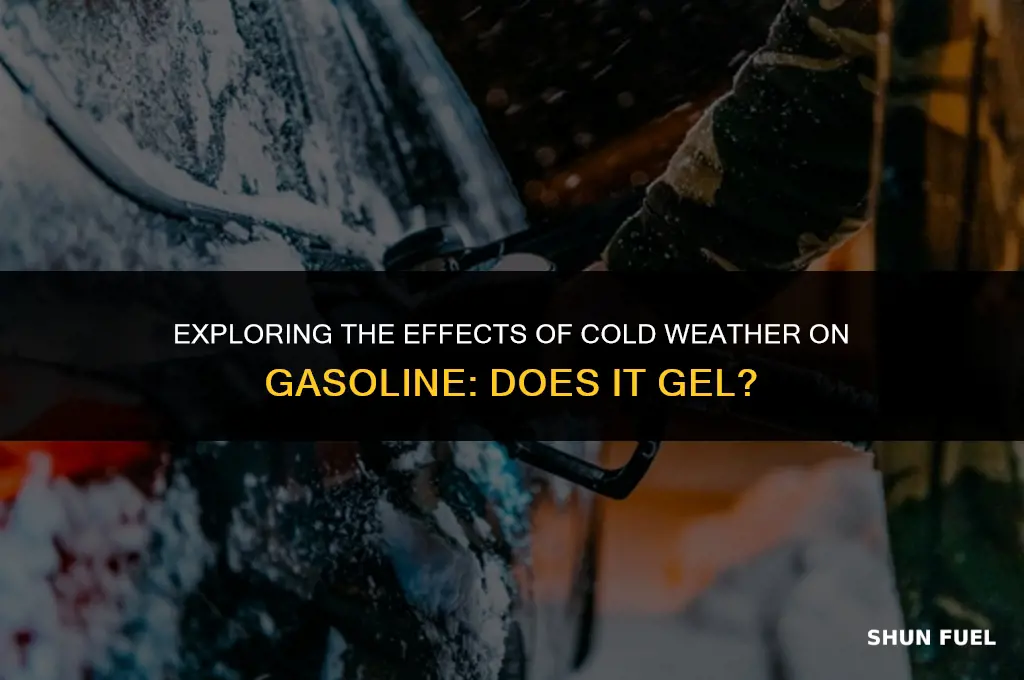 does gasoline gel in cold weather