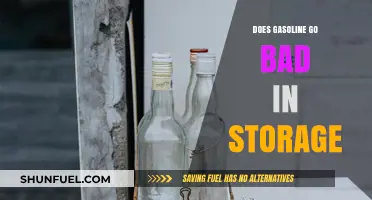 Eternal Fuel or Shelf Life: Does Gasoline Go Bad in Storage?