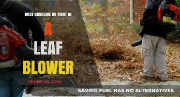Fuel First: The Right Way to Fill Your Leaf Blower
