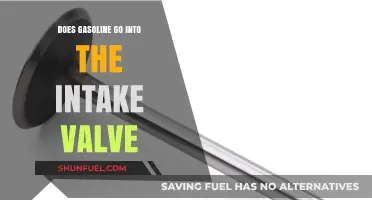Understanding Engine Mechanics: Gasoline's Path to the Intake Valve