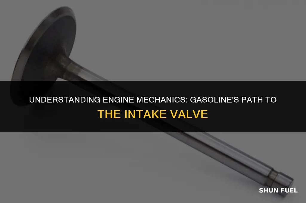 does gasoline go into the intake valve
