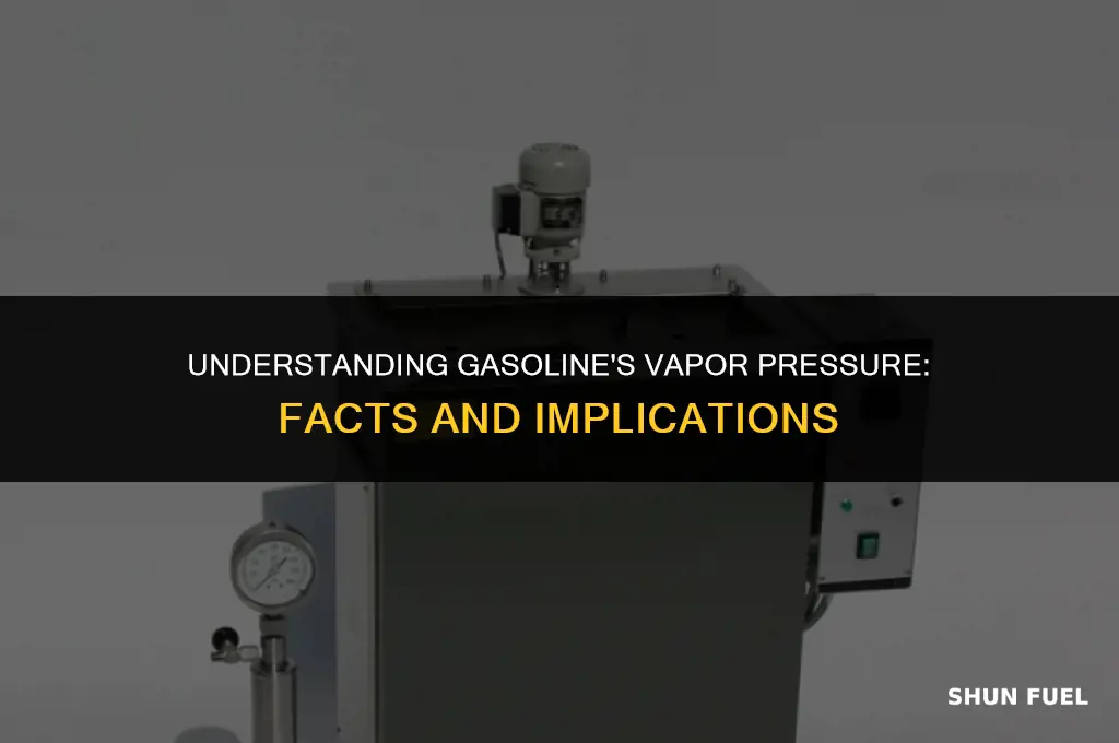 does gasoline have a high vapor pressure