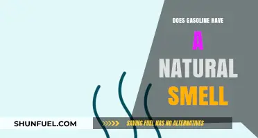 Unveiling the Truth: Does Gasoline Really Have a Natural Smell?
