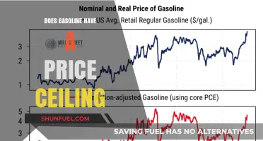 Exploring the Economics: Does Gasoline Have a Price Ceiling?