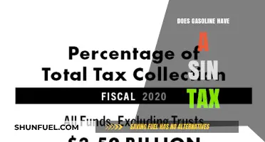 Exploring the Moral Implications of Gasoline Taxation