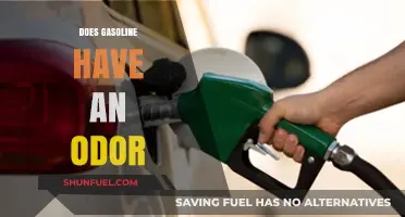 Exploring the Scent of Gasoline: A Comprehensive Guide