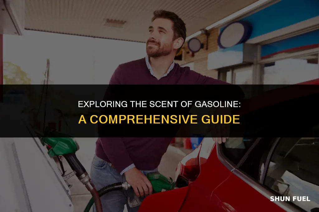 does gasoline have an odor