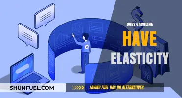 Exploring Gasoline's Elasticity: A Deep Dive into Fuel Dynamics