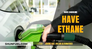 Exploring Gasoline Composition: The Presence and Role of Ethane