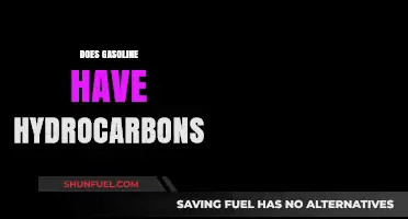 Exploring the Chemical Composition of Gasoline: Hydrocarbons and Beyond