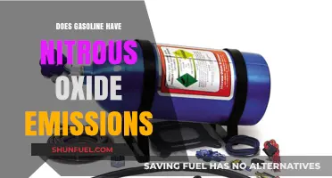 Unveiling the Truth: Gasoline's Impact on Nitrous Oxide Emissions