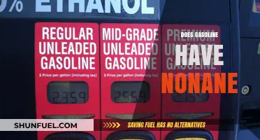 Exploring Gasoline Composition: The Presence and Role of Nonane