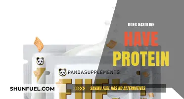 Exploring the Protein Content Myth in Gasoline: Facts Unveiled