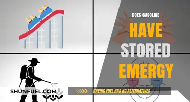 Exploring the Concept of Stored Emergy in Gasoline: A Comprehensive Analysis