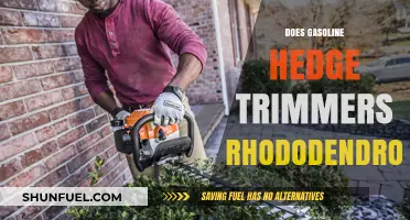 Gasoline Hedge Trimmers: The Ultimate Guide to Rhododendron Care