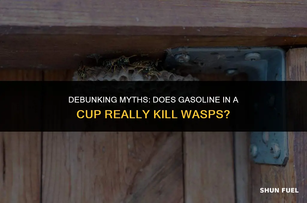 does gasoline in a cup kill wasps