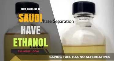 Ethanol in Saudi Gasoline: A Comprehensive Analysis