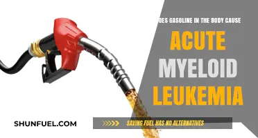 Exploring the Link: Gasoline Exposure and Acute Myeloid Leukemia Risk