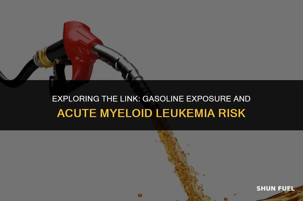 does gasoline in the body cause acute myeloid leukemia