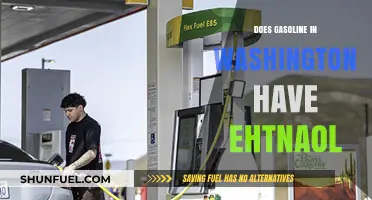 Exploring Gasoline Composition: Does Washington's Fuel Contain Ethanol?