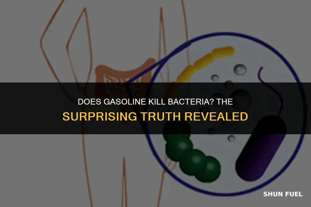 does gasoline kill bacteria