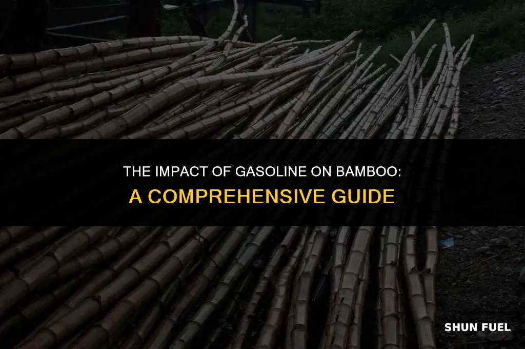 does gasoline kill bamboo