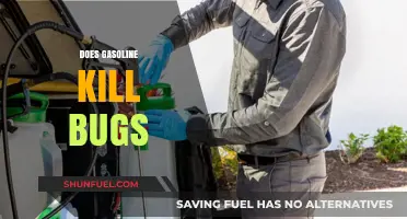 The Surprising Truth About Gasoline and Bug Control