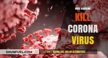 Does Gasoline Kill Coronavirus? Debunking Dangerous Myths