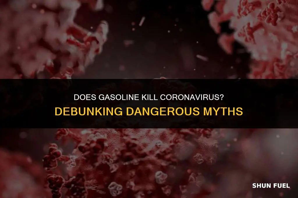 does gasoline kill corona virus