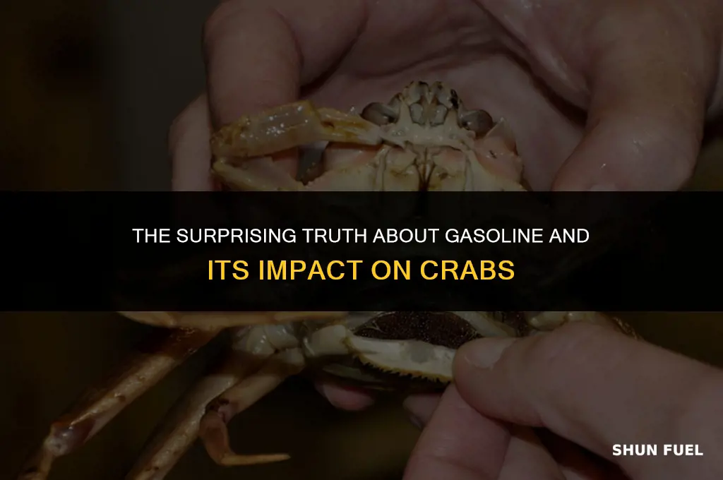 does gasoline kill crabs
