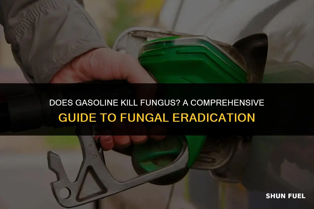 does gasoline kill fungus