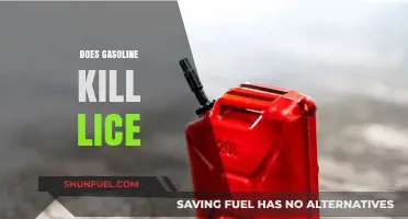 Does Gasoline Kill Lice? A Comprehensive Guide to Lice Removal