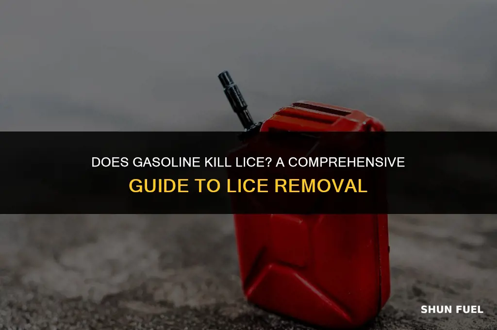 does gasoline kill lice