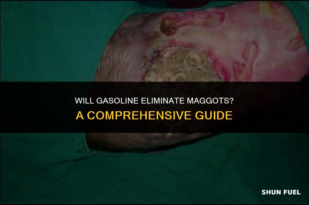 does gasoline kill maggots