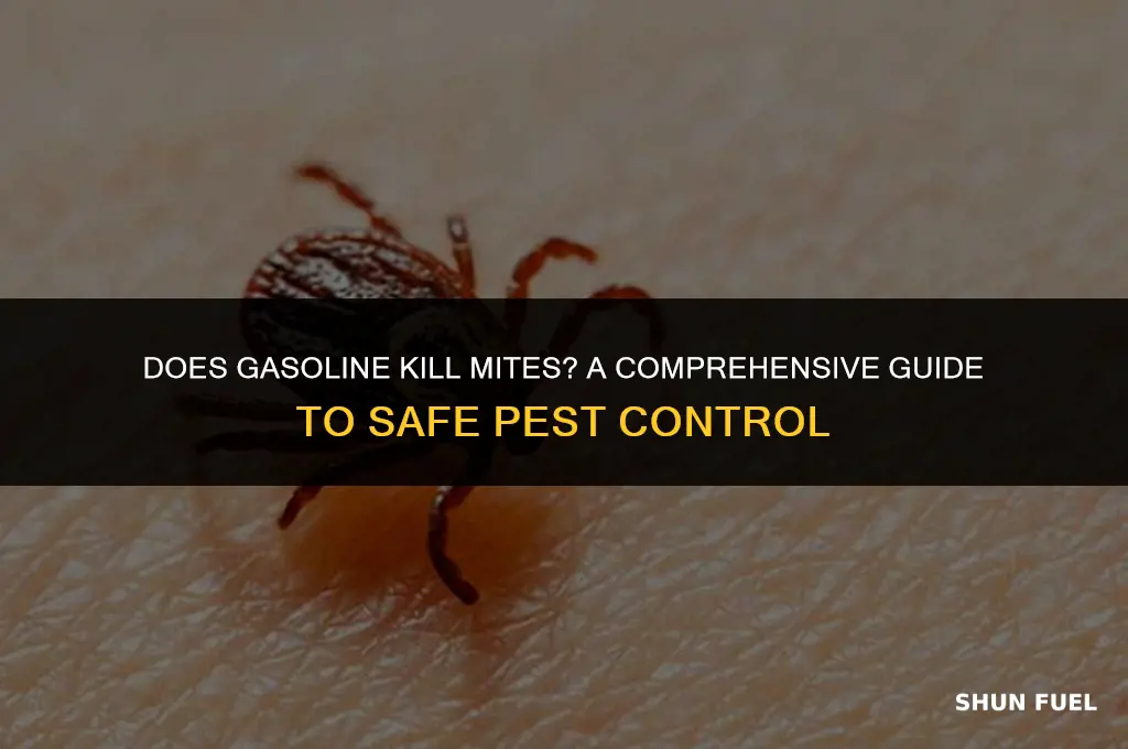 does gasoline kill mites