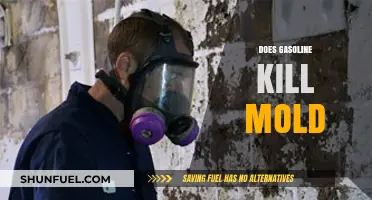 Does Gasoline Kill Mold? A Comprehensive Guide to Mold Removal