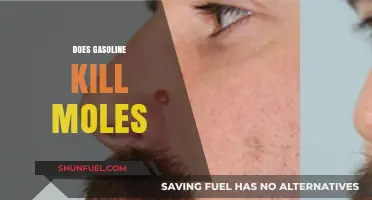Does Gasoline Kill Moles? A Comprehensive Guide to Mole Removal