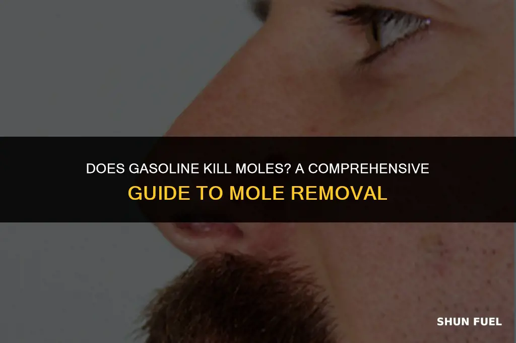 does gasoline kill moles