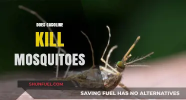Does Gasoline Kill Mosquitoes? A Surprising Truth Revealed