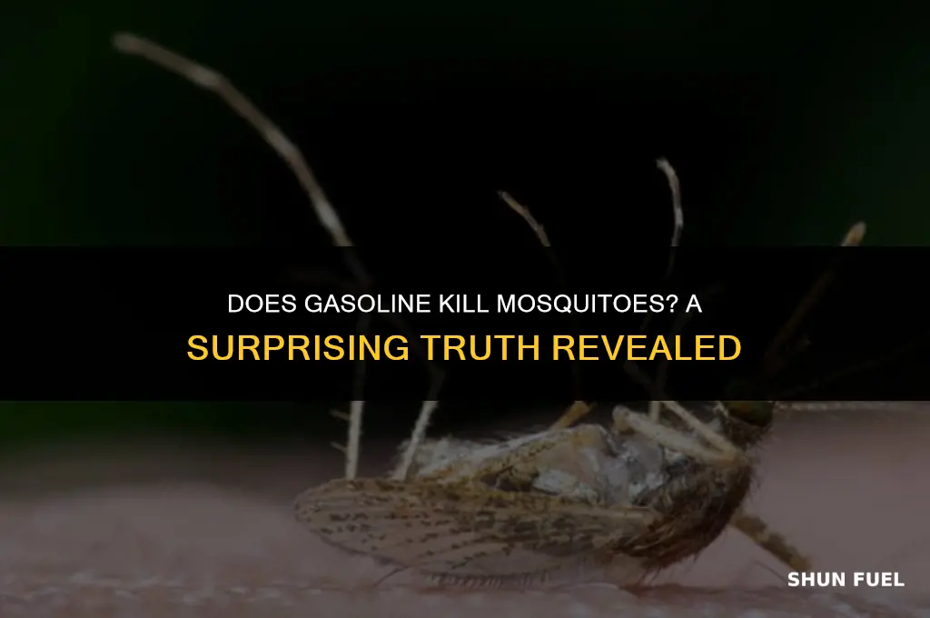 does gasoline kill mosquitoes