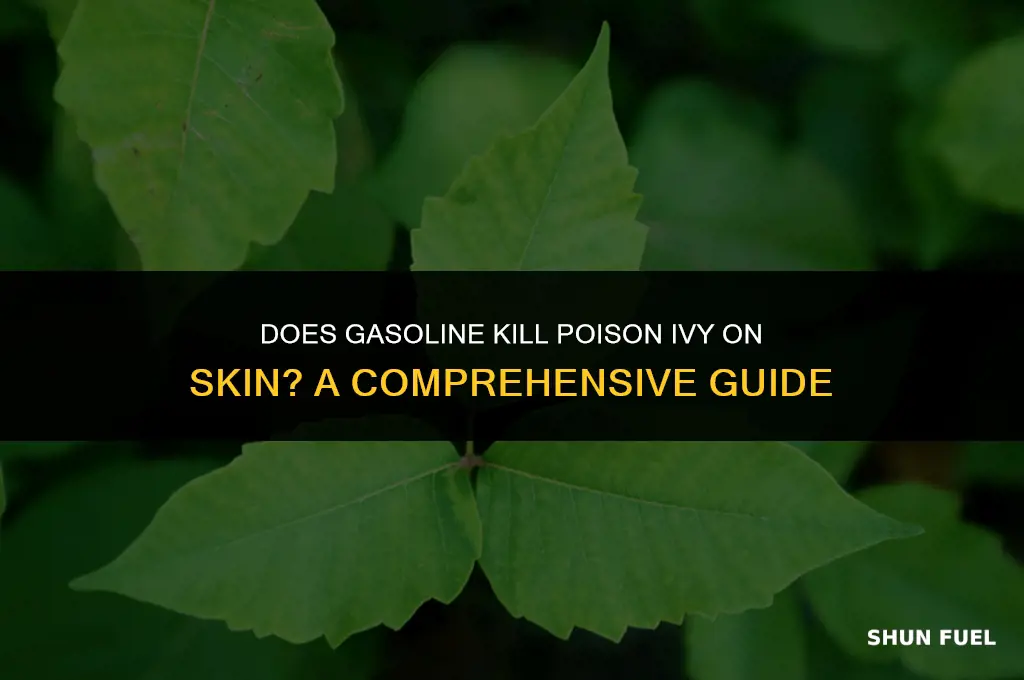 does gasoline kill poison ivy on skin